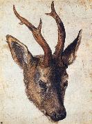 Albrecht Durer The Head of Stag Spain oil painting reproduction